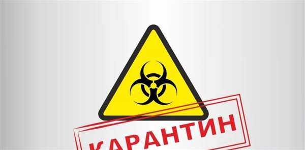 Раскраска Карантин УютныеMoments для Детей