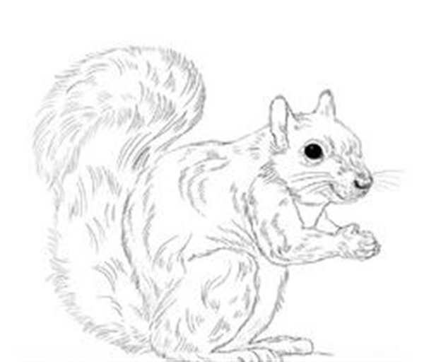 Рисунки животных для детей