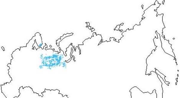 Карта России с городами для раскрашивания
