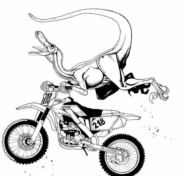 Раскраска Каскадер на мотоцикле приключение в двух колёсах mopeds