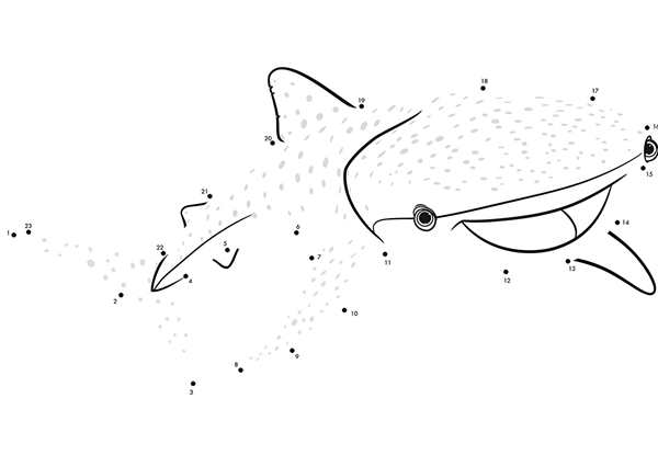 Рисунки для дошкольников