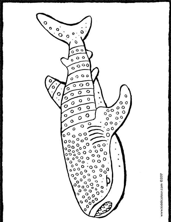 Кашалот рисунок