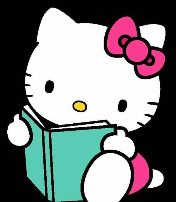 Книга котик