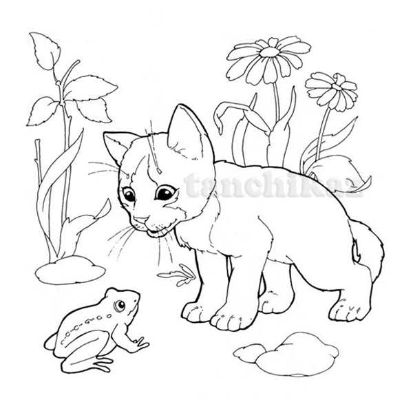 Кошки. Раскраска