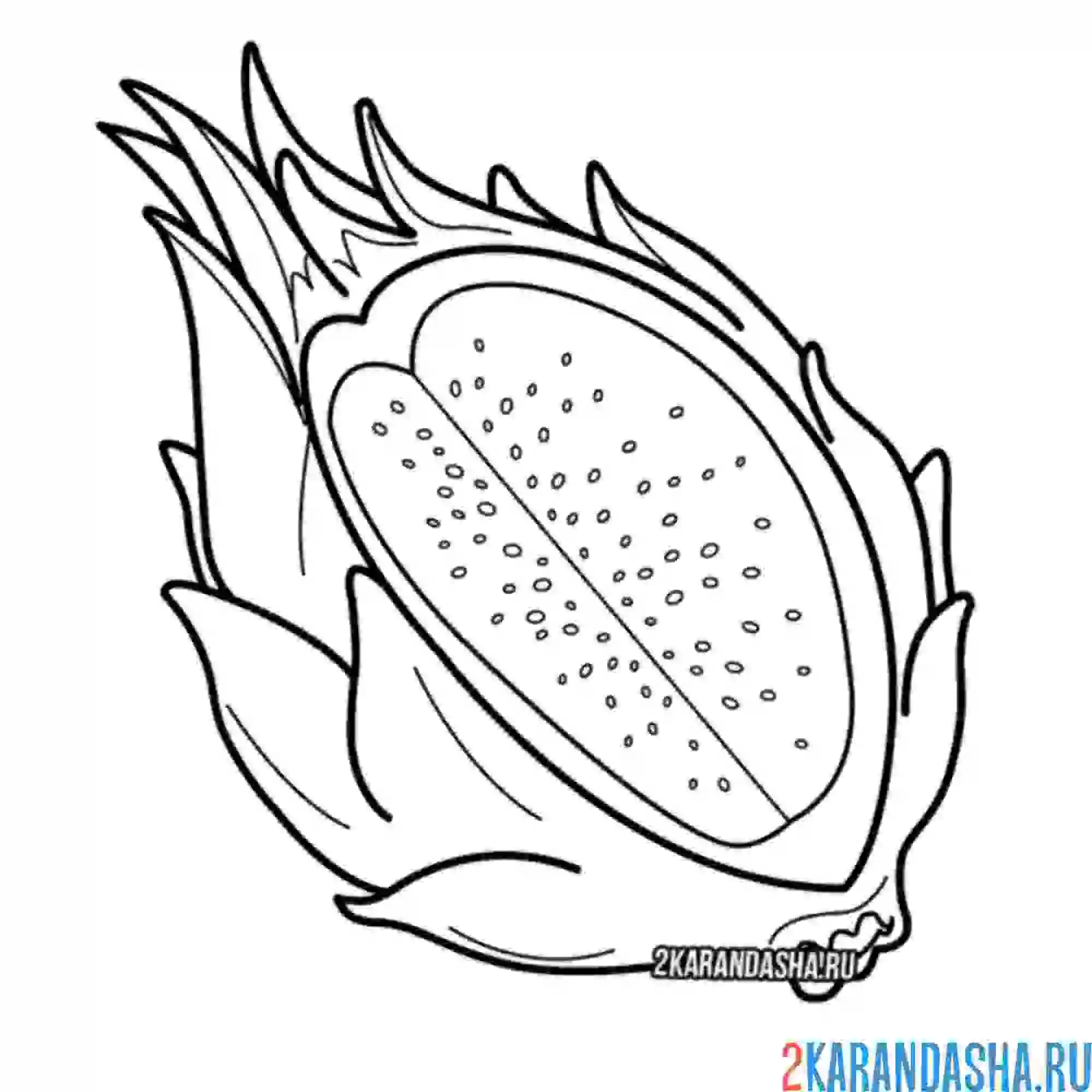 Фрукт кивано рисунок