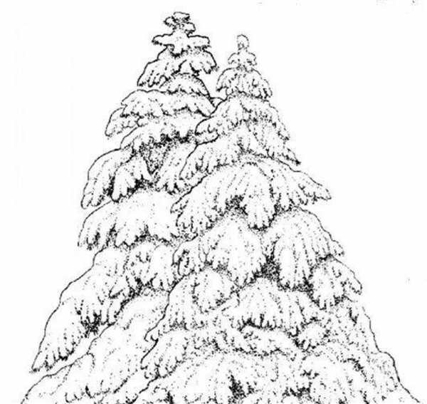 Зимний лес раскраска
