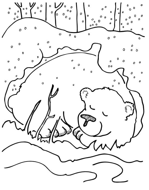 Зимний лес раскраска