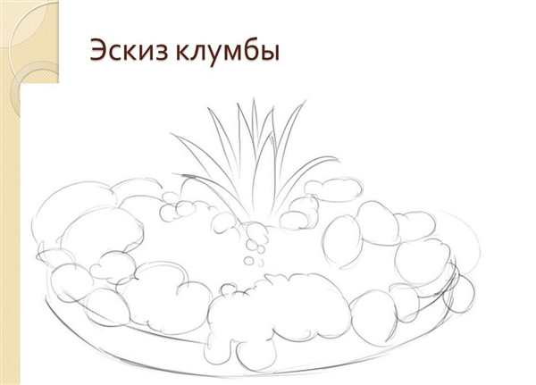 Грядка раскраска для детей