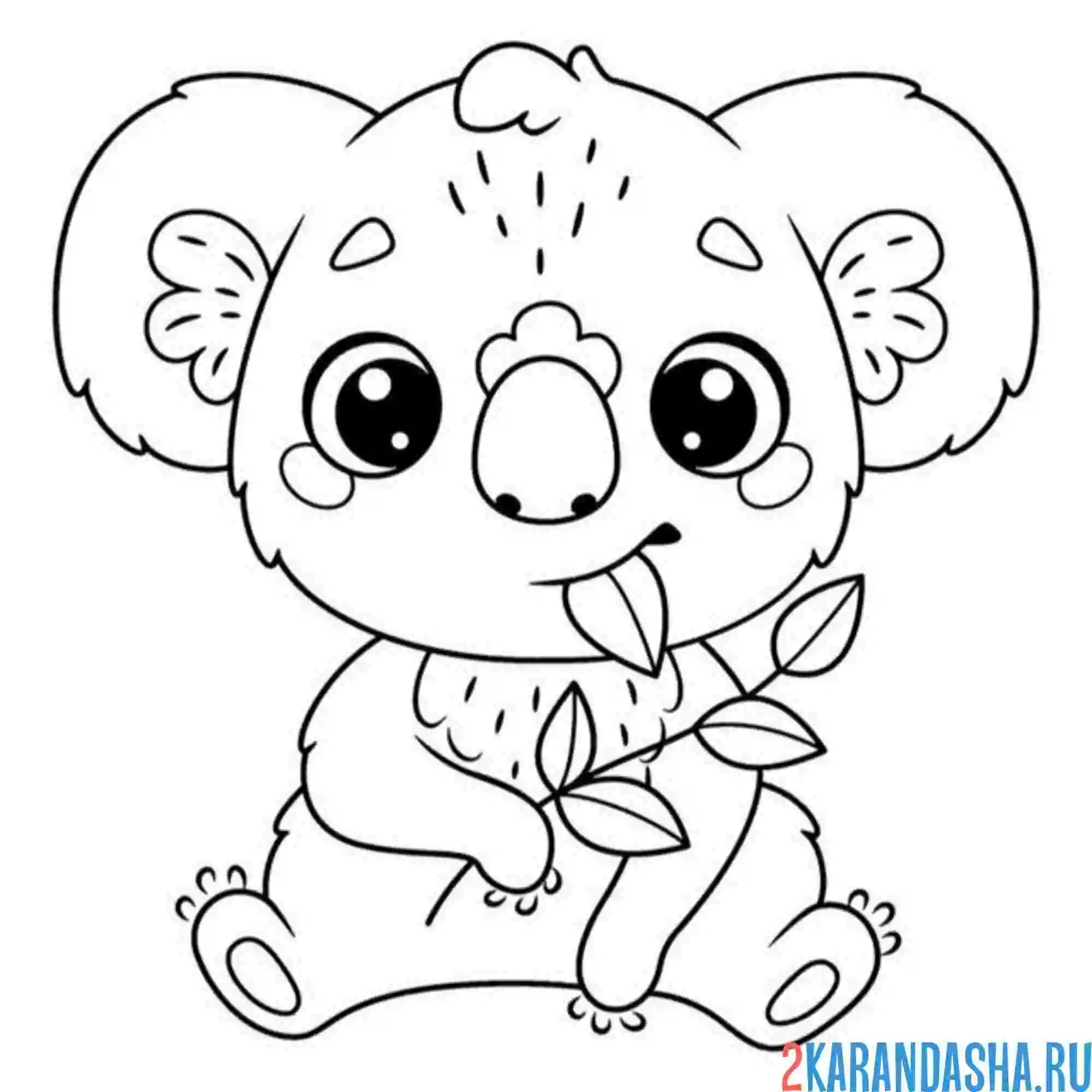 Коала эскиз
