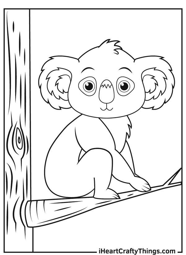 Коала с цветами раскраска