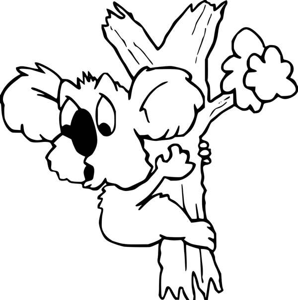 Коала. Раскраска