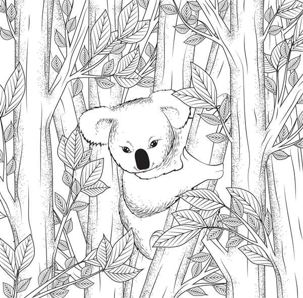 Коала. Раскраска