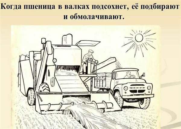 Комбайн Нива Ростсельмаш раскраска