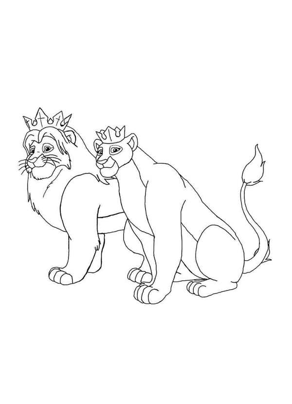 Король раскраска
