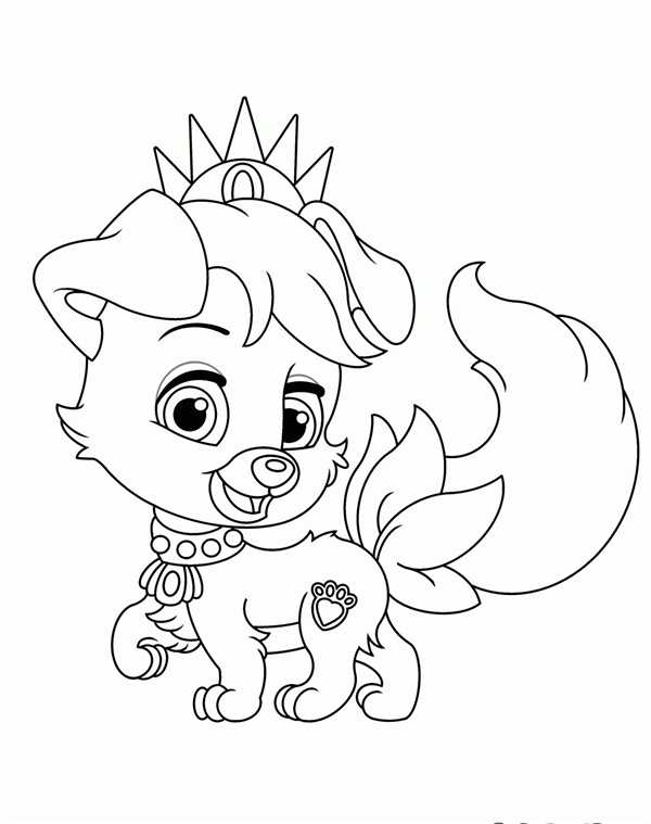 Раскраска Palace Pets