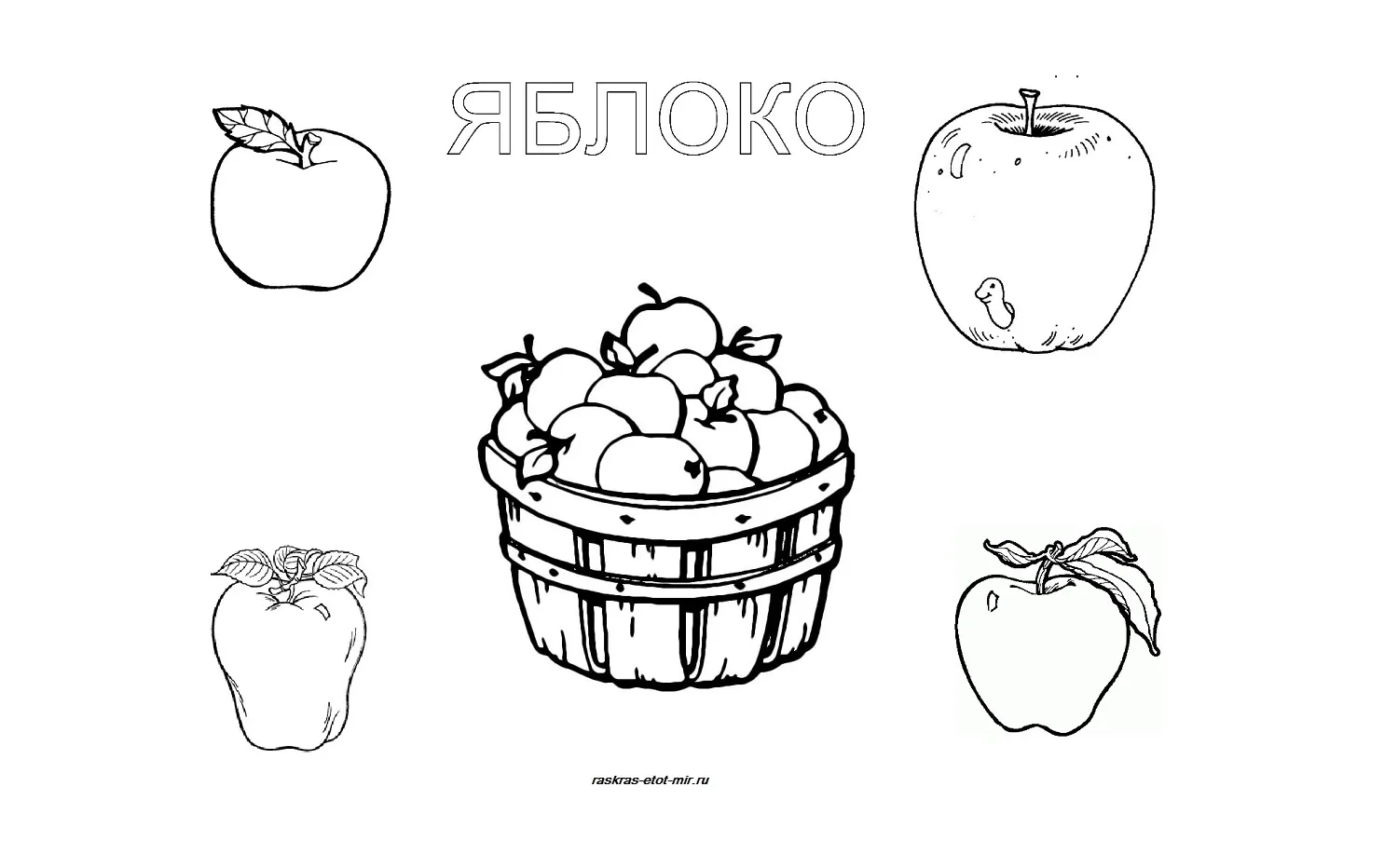 Корзинка фруктов раскраска для детей