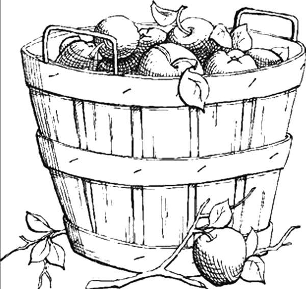 Корзинка с фруктами раскраска