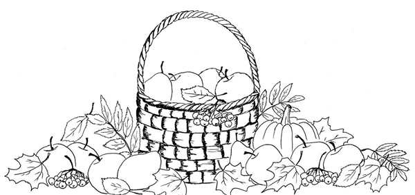 Раскраска Корзина Яблок