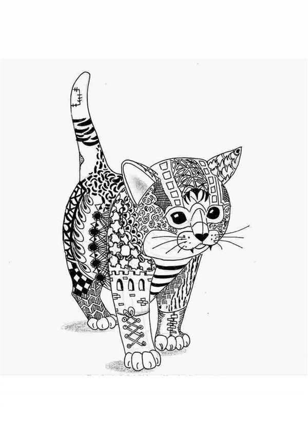 {Персидская кошка раскраска}