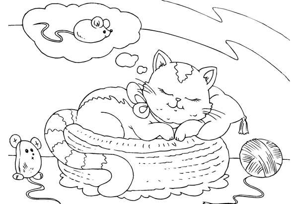 Раскраска кошечка