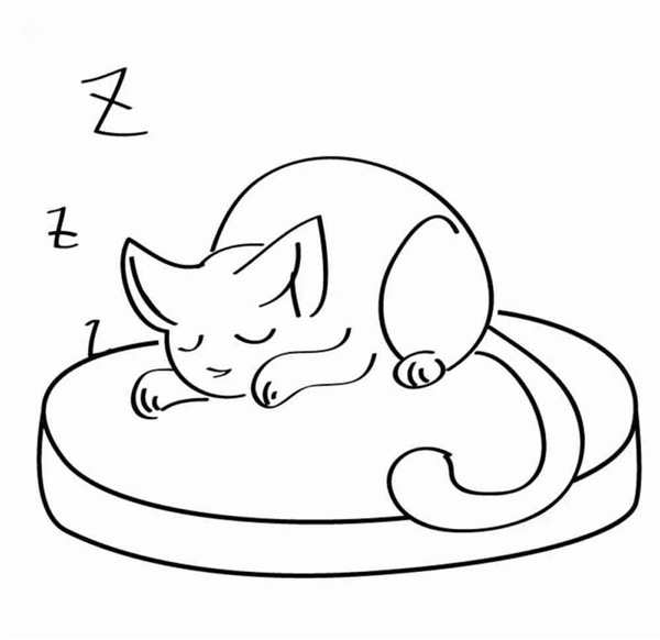 Раскраска кошечка