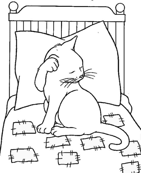 Раскраска коты