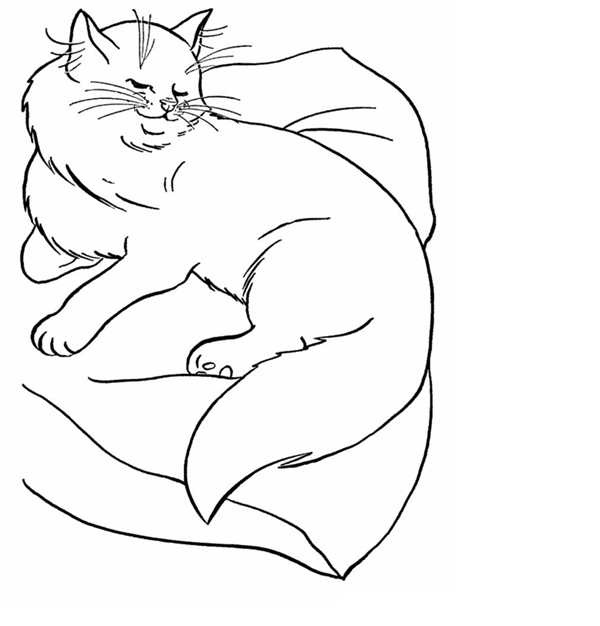 Кот лежит раскраска