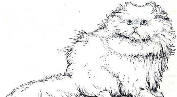 Кошки. Раскраска