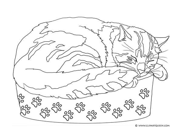 Кошка Хлоя раскраска