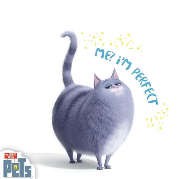 Кошка Хлоя раскраска