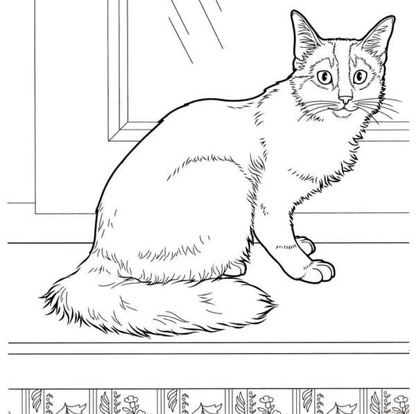 Раскраска кошка в платье