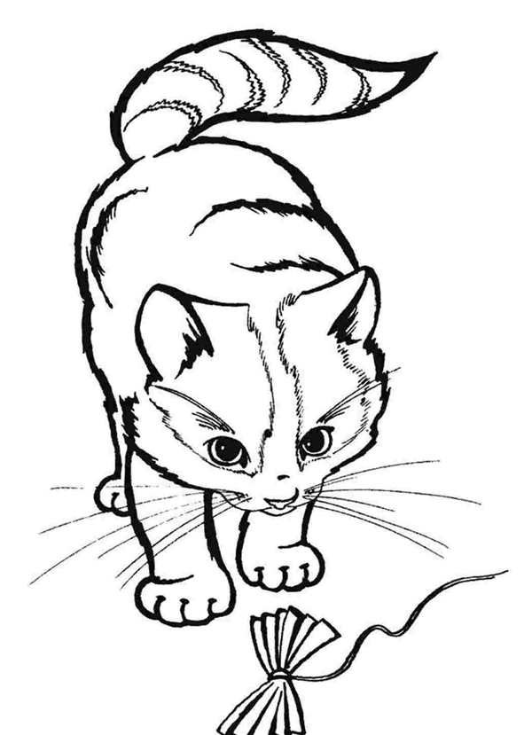 Раскраска кот