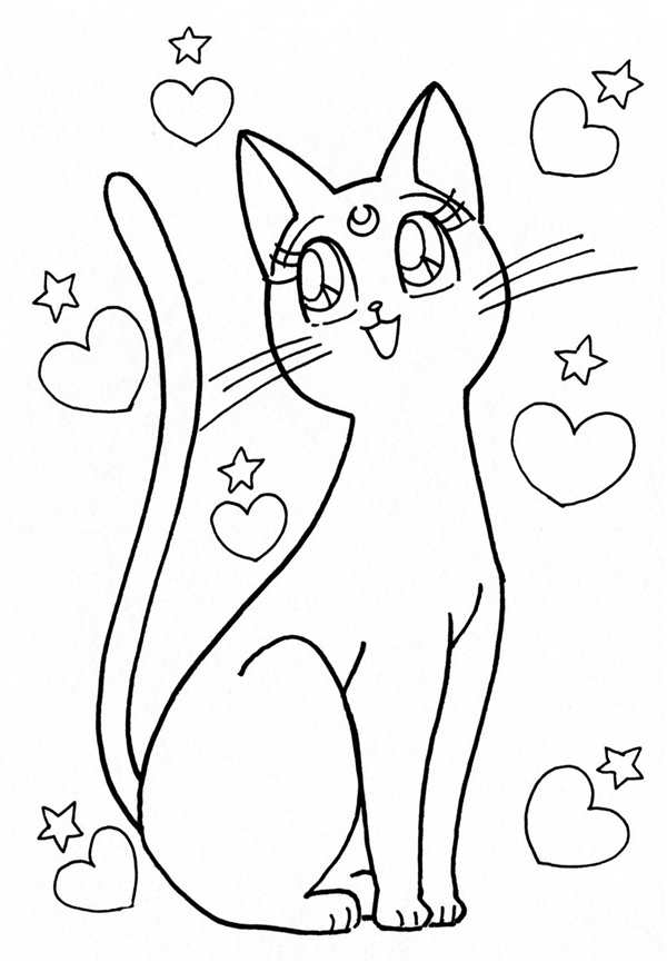 Раскраска лунный котик