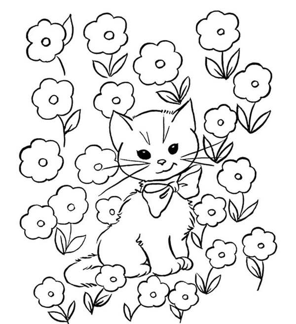 Кот на кухне