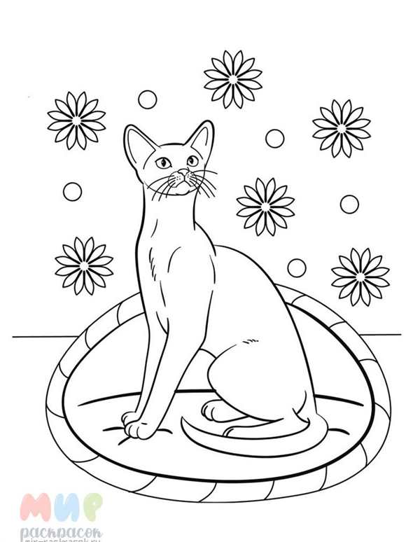 Кошка на дереве раскраска