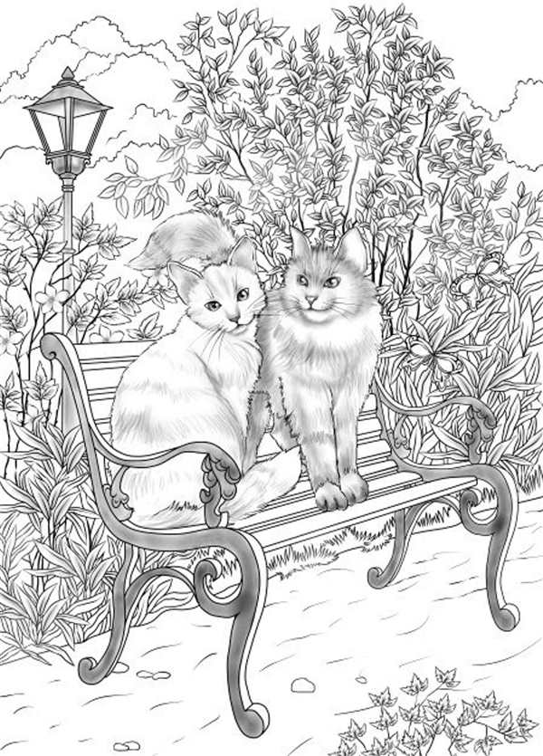 Раскраска Кошка на Ветке