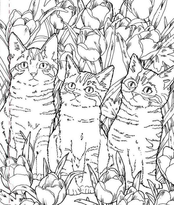 Кошки. Раскраска