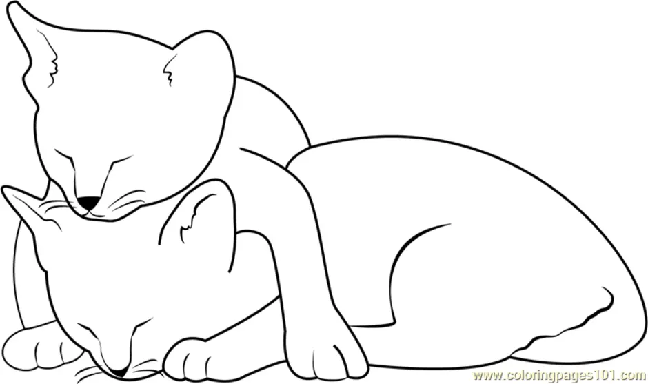 Кошка рисунок раскраска
