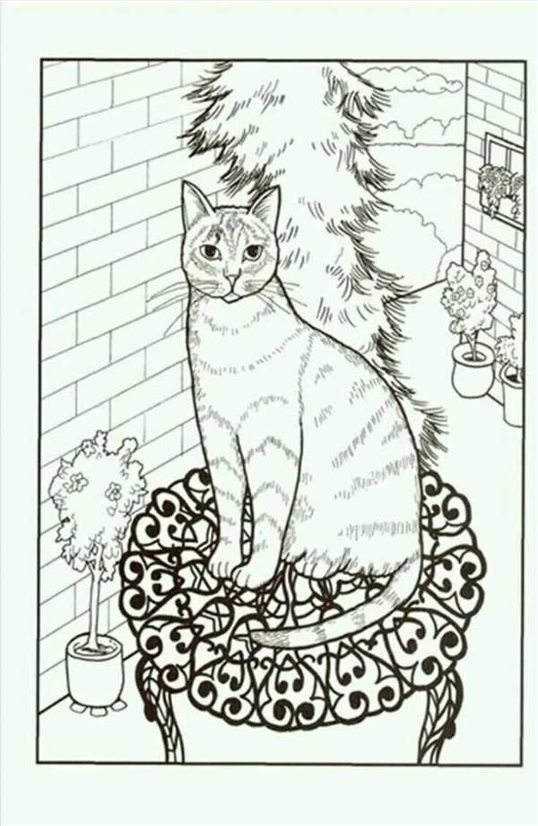 Коты раскраска коты Воители