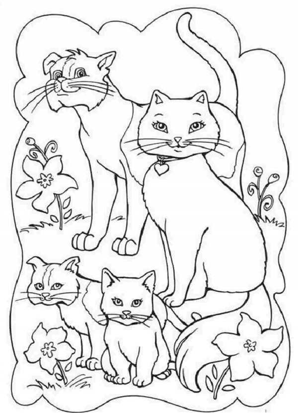 Котенок. Раскраска