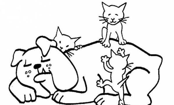 Картинка кошка раскраска