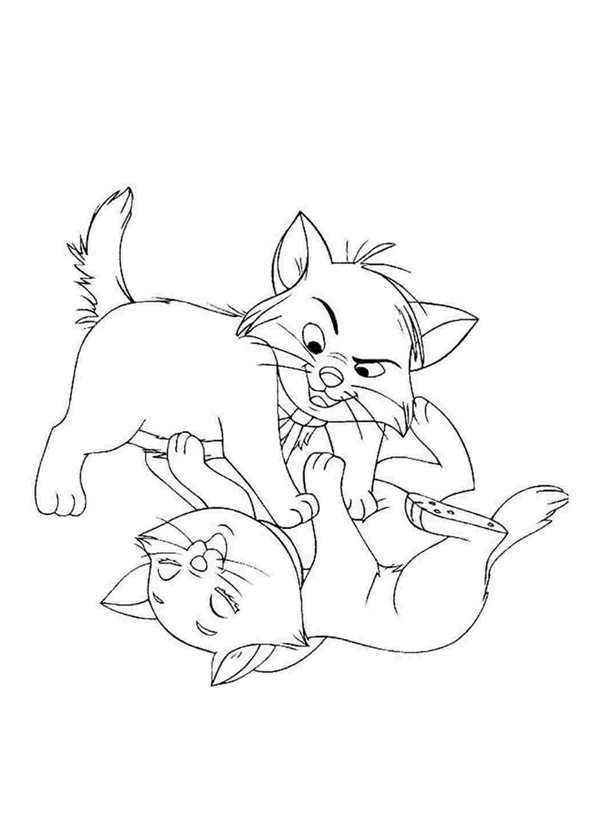 Кошки. Раскраска