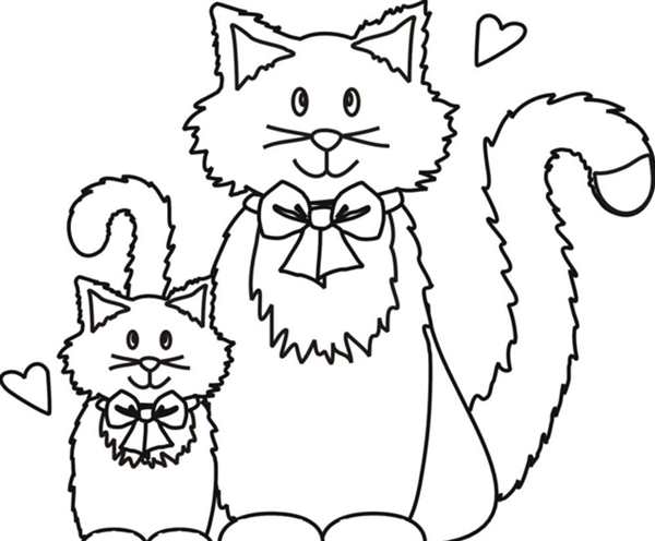 Раскраска кот