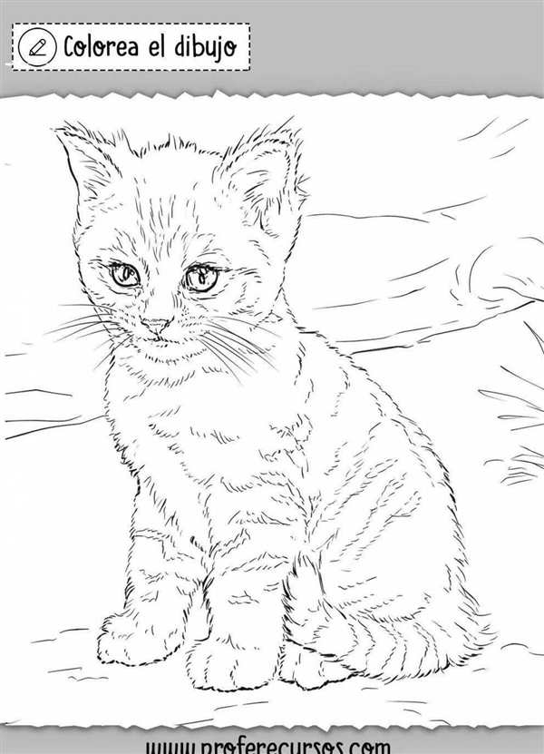 Раскраска кошка с котятами