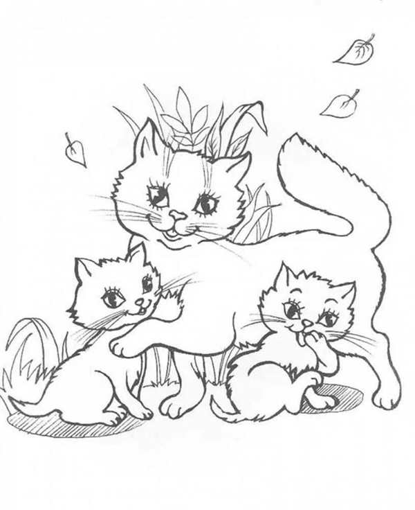 Кошки. Раскраска