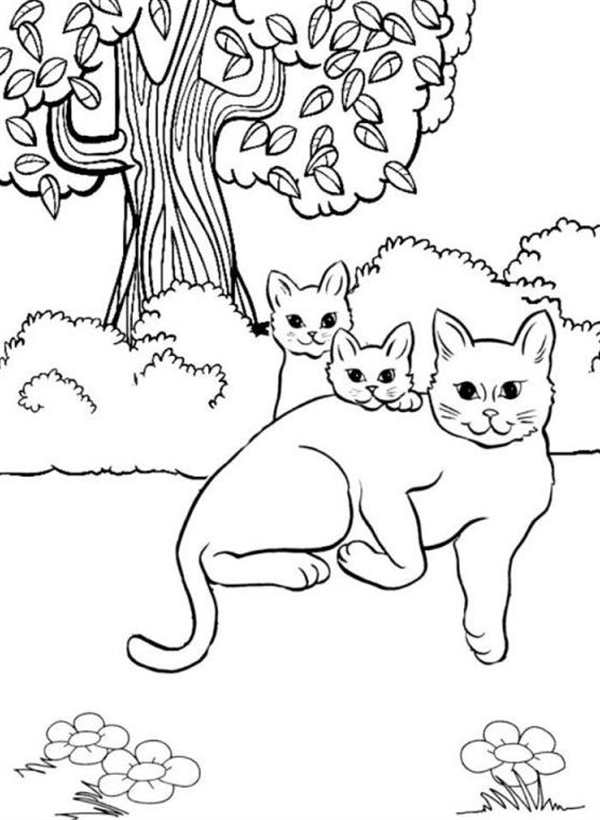 Раскраска Кошка с Котенком Kittens and Mama Cat