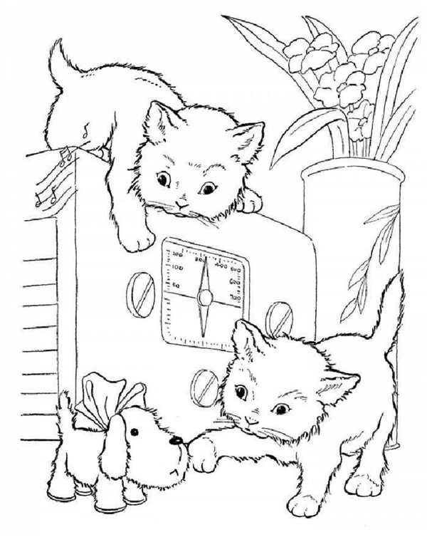 Раскраска Кошка с Котенком Kittens and Mama Cat