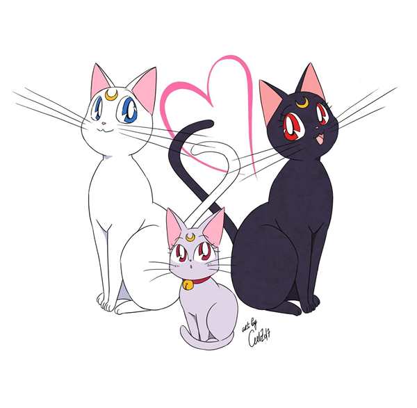 Кошка Луна из сейлормун