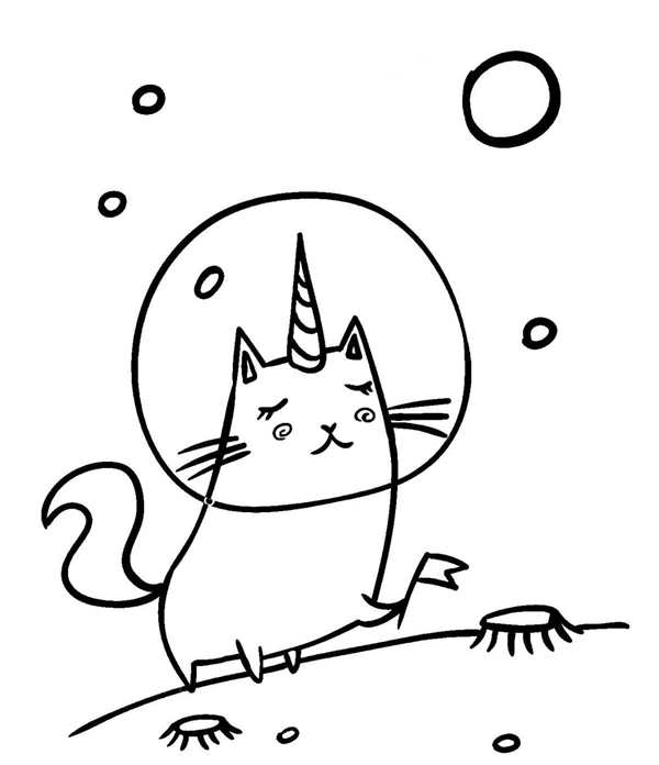 Котенок смотрит в зеркало