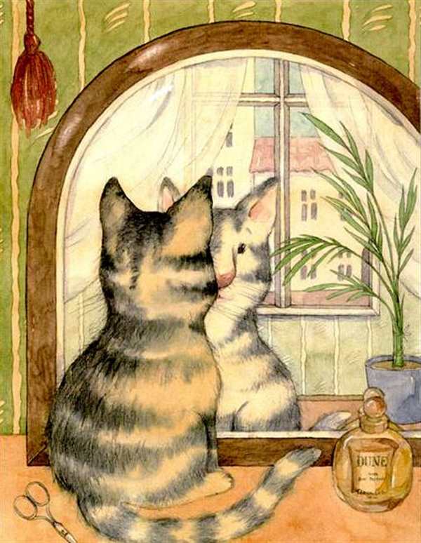 Раскраска. Котики